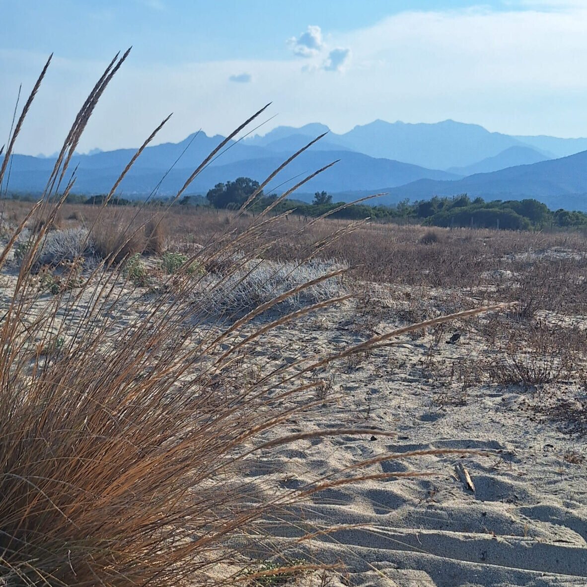 Plage de Corse sud – Offre Silver Key